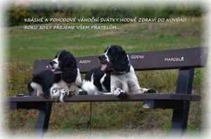 Tatínek našich 
štěňátek Ingo od Stroupinského potoka se psím kámošem Godinem z Lipových dolin