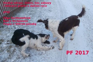 Pegas z Větrné paseky a kámoš Bez z Vrchánova