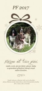 Polly z Větrné paseky - Dianka a její kámoši.