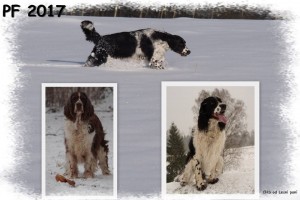 Niké a Hubert z Větrné paseky, Hérra Dianin kámen