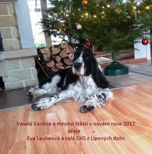 CHS z Lipových dolin.