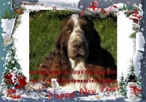 CHS od Stroupinského potoka.