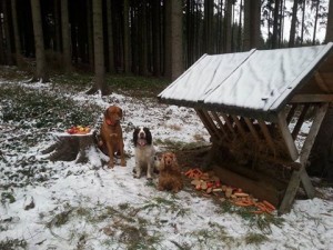 Portos z Větrné paseky a jeho kámoši.