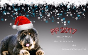 Naši mladí s tibetskými dogami.