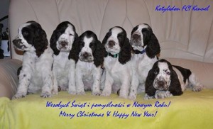 CHS Kotyledon, kde působí naše Urka z Větrné paseky.