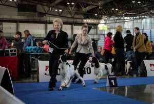 Pegas a Portos se předvádí v kruhu.