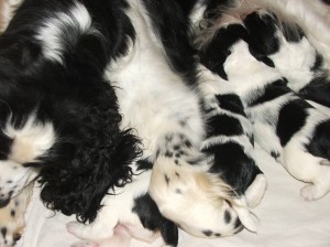 U maminky je nejlépe!