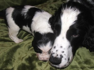 Už mi je dej, už je nefoť!!!