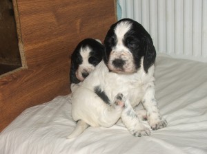 Sárinka kouzelně sedí.