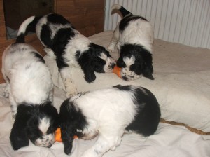 Pořád něco koušeme a žužláme.