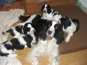 Pohodička s mámou Mendy.