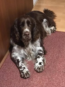 Dag Ester Cizera je celý táta Giulian