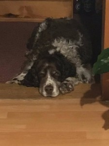 Sam z Větrné paseky - čtrnáctiletý!Syn Giuliana je jeho kamarád.