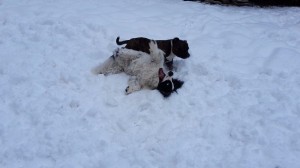 Ale není zas tak velká zimička! Ryan a jeho hrátky s kámošem.