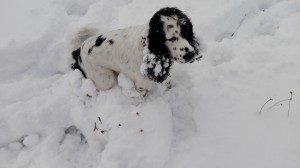Ornellka už neunesla sněhové koule.