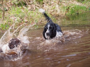 Narozeniny slavila Reisha s kámoškou Niké z Větrné paseky. Holky řádily ve vodě.