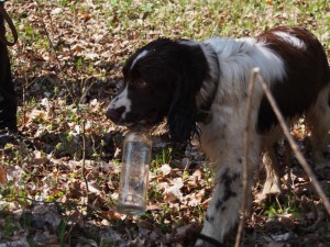 Holky se držely hesla - uklízíme Česko
