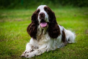 Portos 14 měsíců.