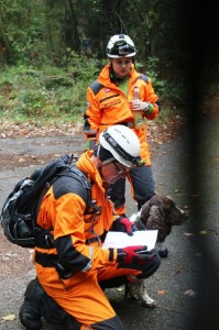 Copak to po nás chtějí...