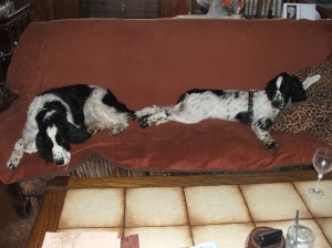 Řádily spolu tak, že pak musely odpočívat na gauči...