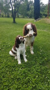 Se svým parťákem se Timmy dělí o vše.