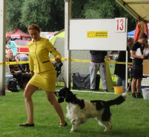 Pegas se předvádí.