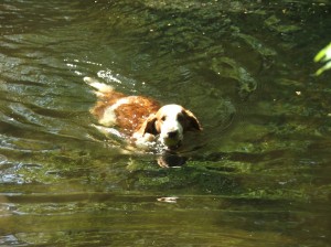 Trocha osvěžení neuškodí.