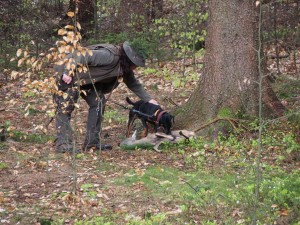 Dosled srnčí zvěře s jagdteriérem Gorem.