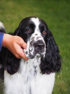 Pegasův typický kukuč - co zas chcete???