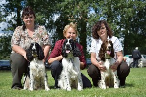 Polly, Pegas a Reisha.