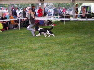 Polly (Dianka) v kruhu.