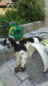 Jsem hrózně upracovaná!!!