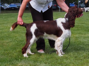 MVP Mladá Boslev - Pegas, Polly a Reisha