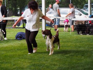 Tak pěkně poběž!