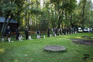 Nustup na MKVZ - Hubínek