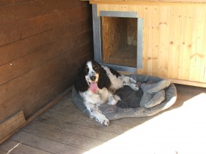 Perlička u nás - bylo zrovna velké horko.