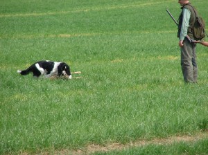 Orika měla co dělat, aby ho unesla..