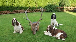 Ebony, Exy zaučují mladého Scottyho v lovu vysoké zvěře, lovu zdar!