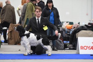 Pegas - Mezinárodní výstava Praha - Výborný 1, CAC