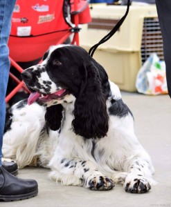 Čekání před nástupem do kruhu - Pegas