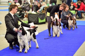 Pegas - výborný 1,CAC