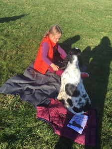 Sárinka na výstavě, odpočívá na sluničku.