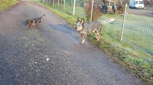 Emmi a Prašivka jsou stále spolu.