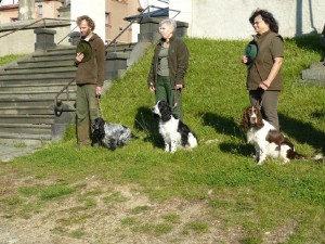 Iran - Mistrovství světa v sutinách, Hubert MKVZ,  Pegas, Polly, Nero zdravotní testy, nové foto Perly, Portose, lovci z Beskyd, Orika zkoušky, Reisha zkoušky, Kerd zkoušky.