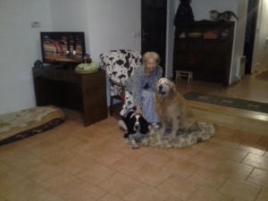 Shaggy- Monty doma s paničkou a starým psím přítelem.