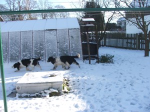 Nero zjišťuje stav situace.