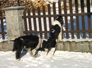 Tak tedy jaký je stav situace?