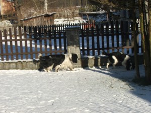 Počkééééj Mendy, potřebuji to řádně prověřit!