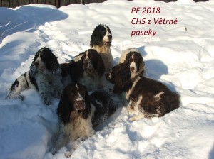 Naše banda před vánocemi napadlo plno sněhu...akorát tam chybí Mendy - válela se doma.