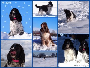 Hubert z VP, Niké z VP a Herra Dianin kámen.